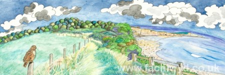 Painting of a Buzzard at St Donat's Point by artist Martin Kaye