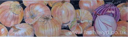 Painting of Onions by artist Martin Kaye